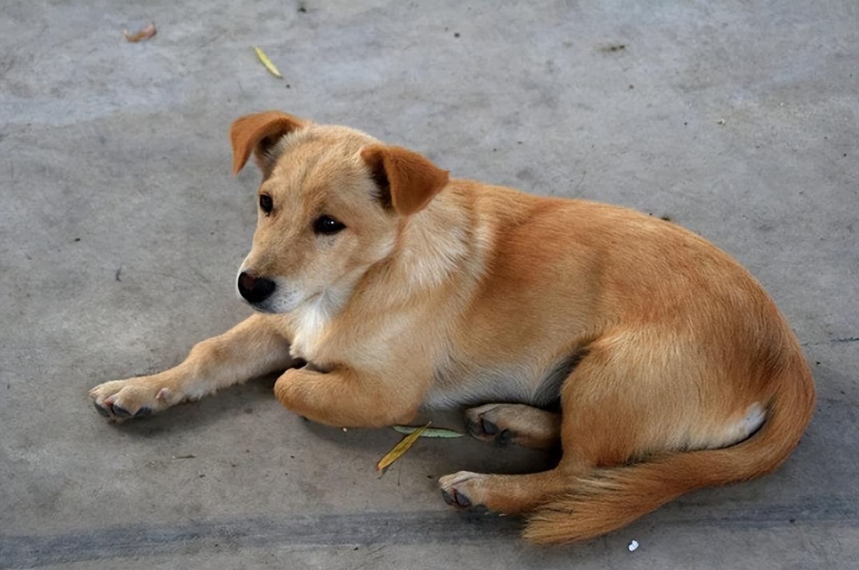 秋天的一个早上,河北某个小区,二十八岁的杨杰早早就起来了,他蹑手蹑