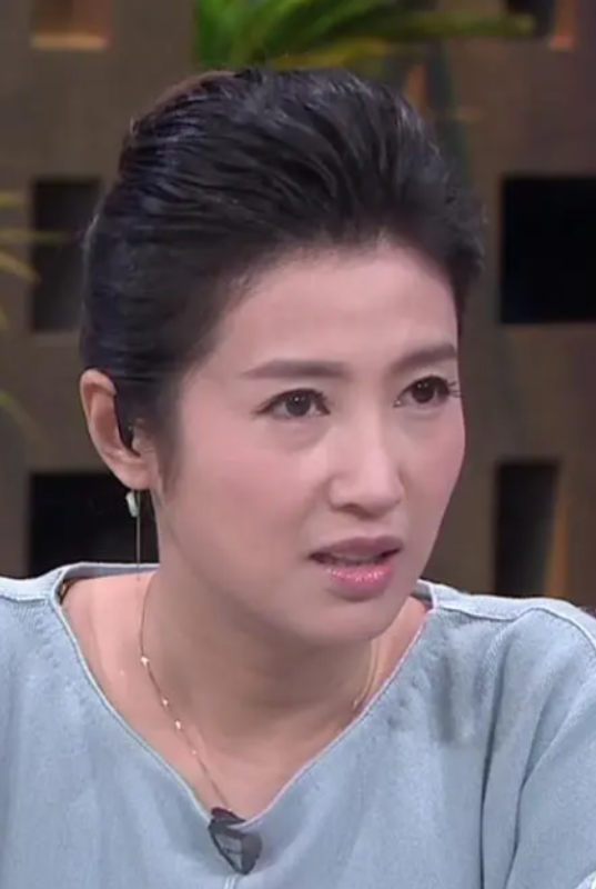 回顾主持人春妮坚持丁克17年后因婆婆一举动41岁当了妈妈