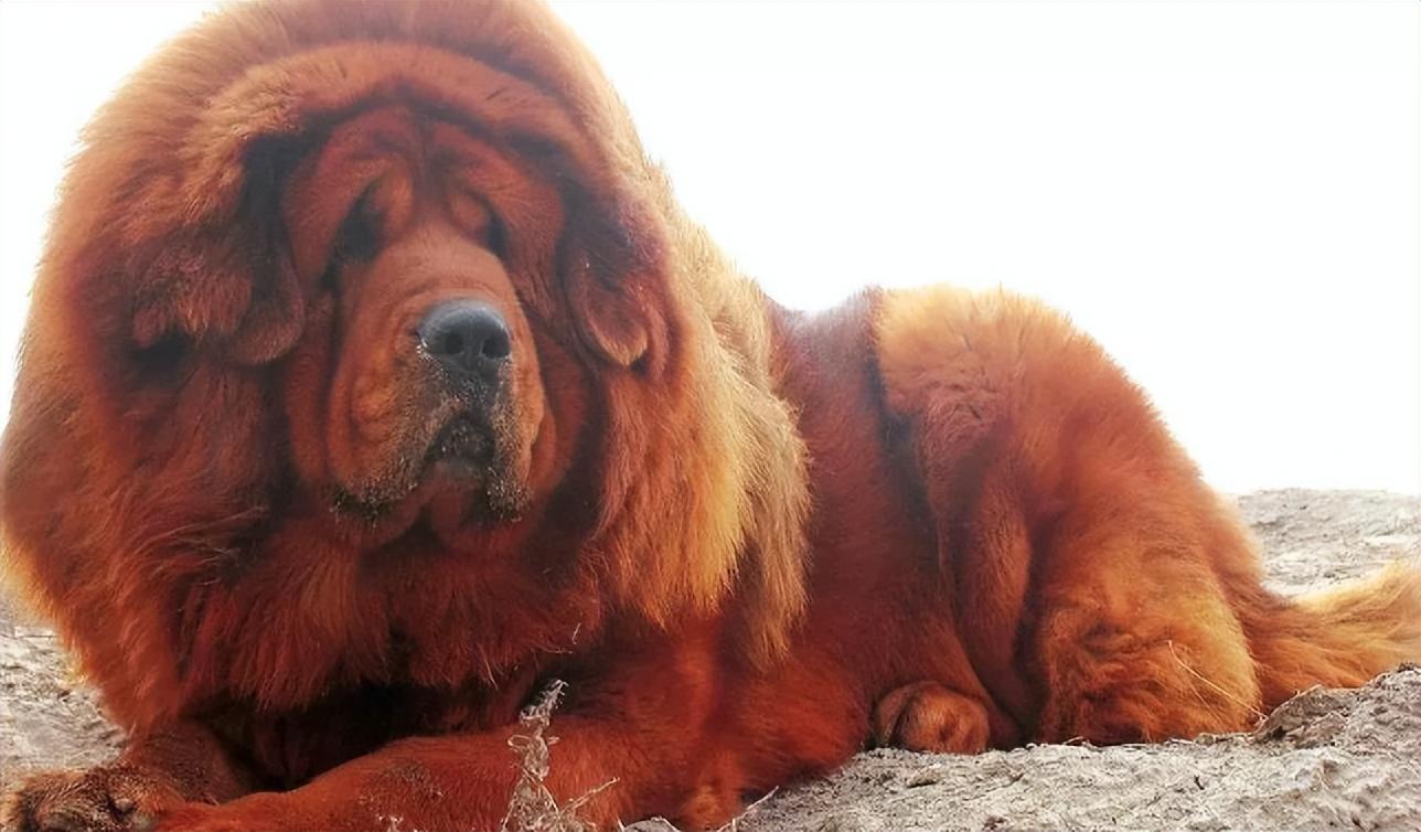 "为什么不救?怎么说也是一条生命.