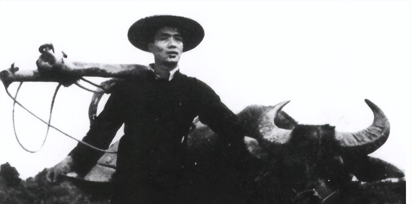 四野遭土匪恐吓,限让出县城;几天后,匪首携九位夫人举行入城式