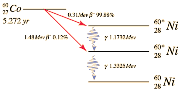 钴弹设计图纸图片