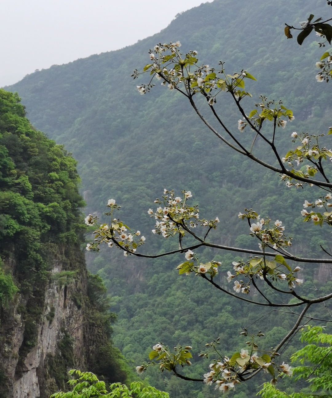 划岩山飞鹰道图片