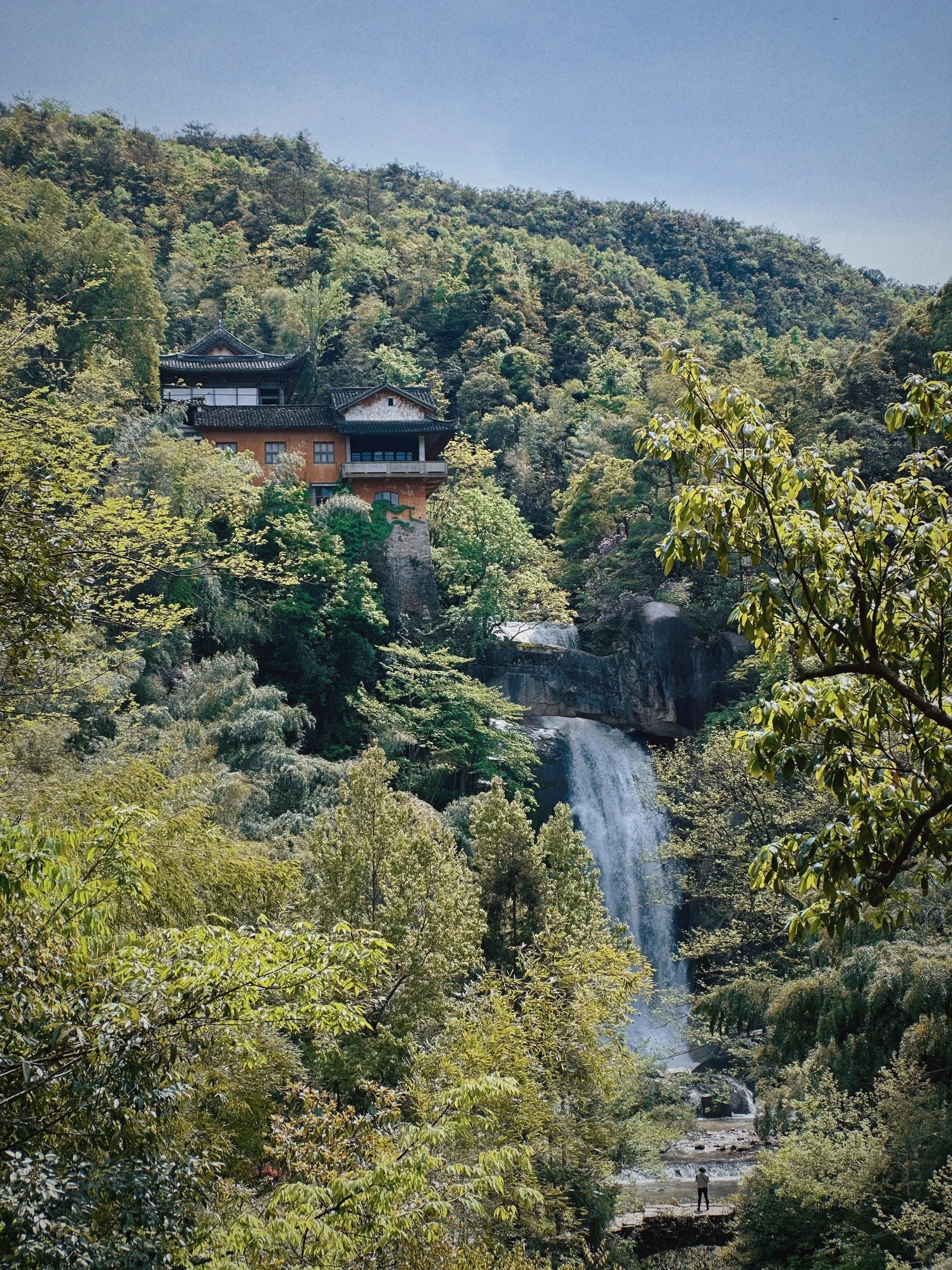 天台华顶山森林公园图片