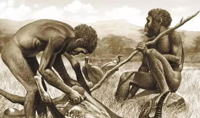 地球上的第一个人类是男性还是女性?