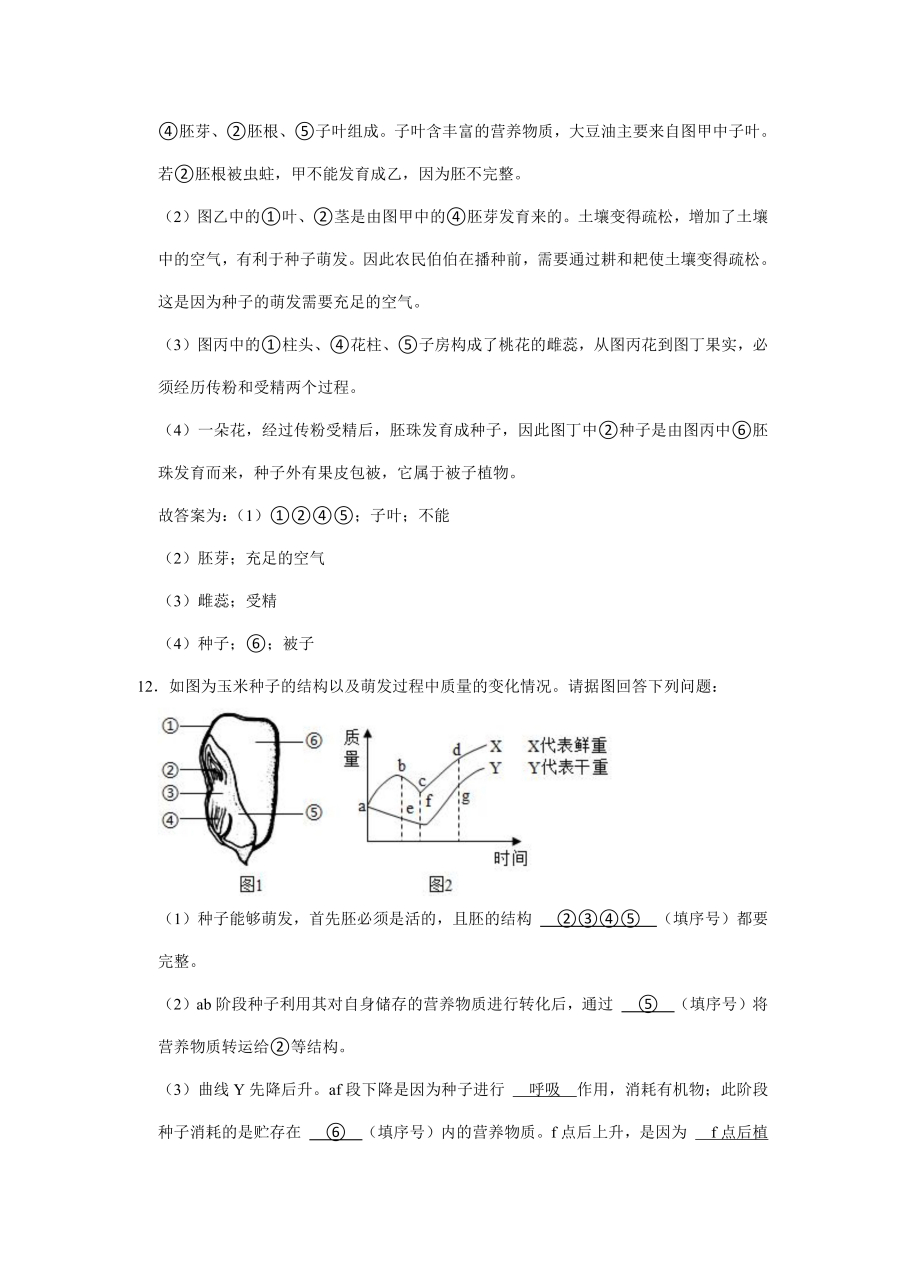 种子萌发的自身条件图片