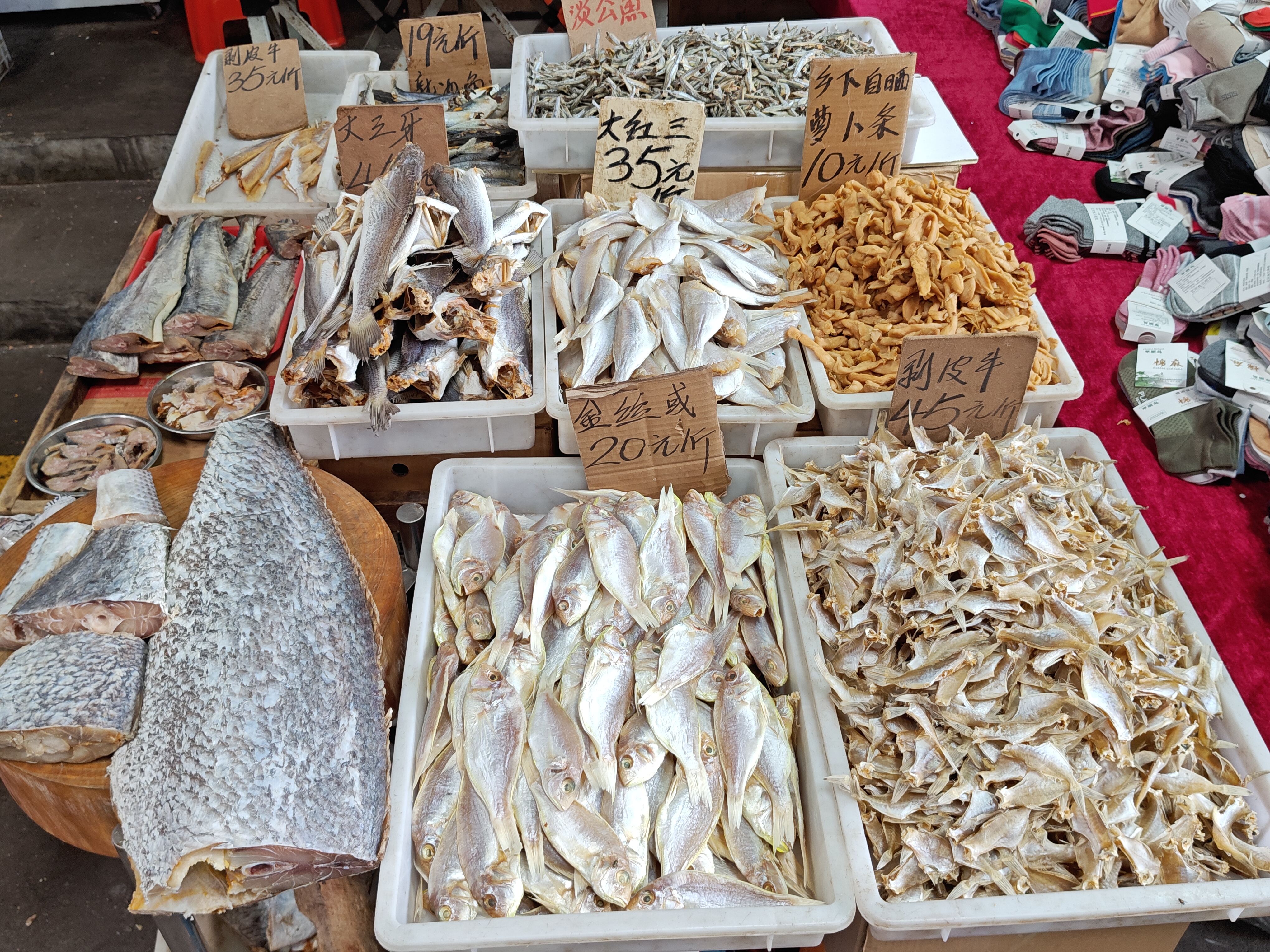 咸鱼批发市场在哪里