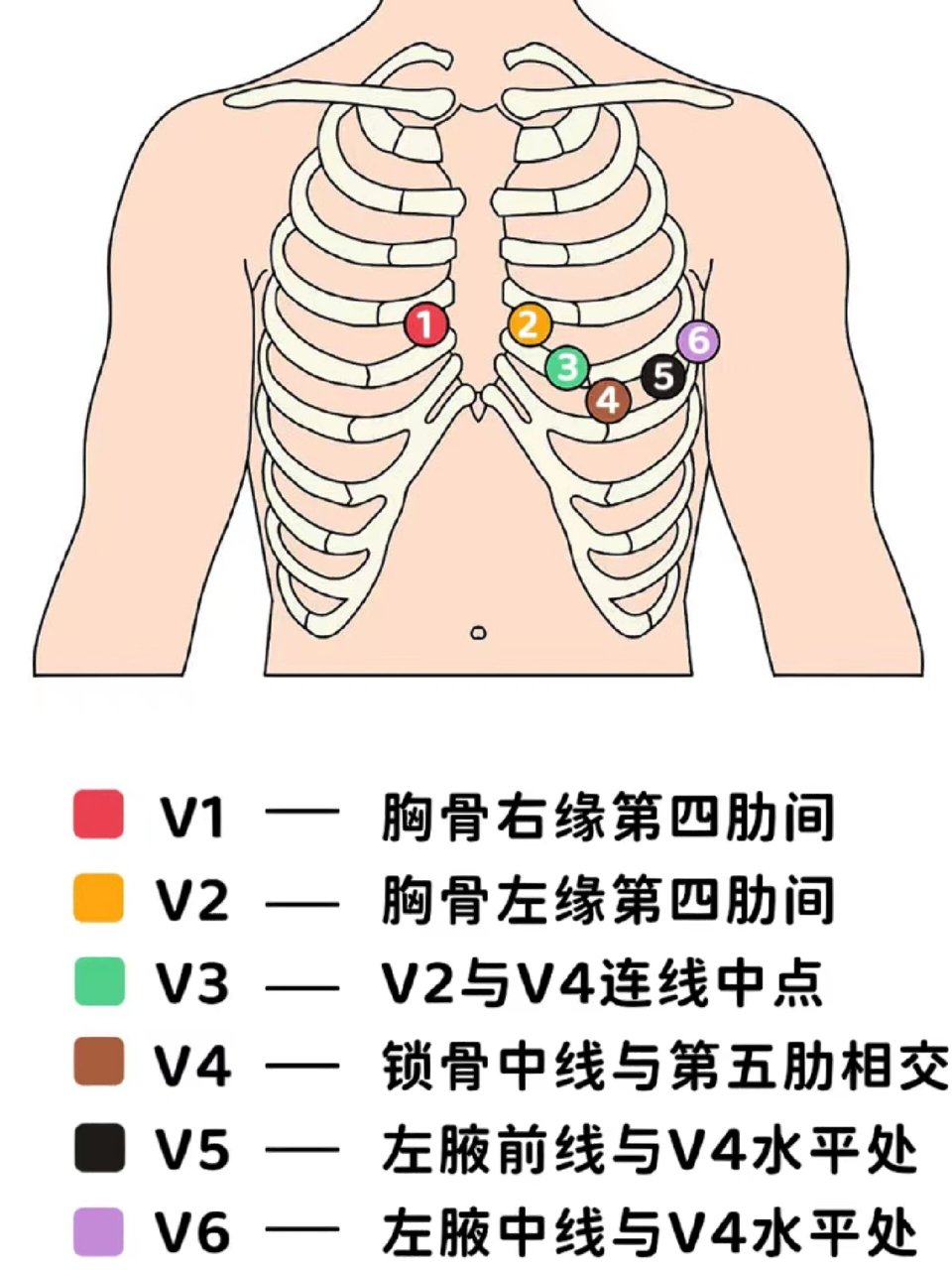 左肋缘图片