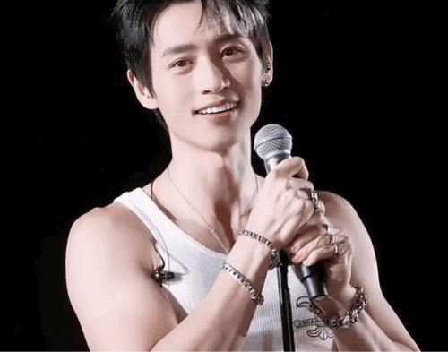 魏晨娱乐圈的理想型