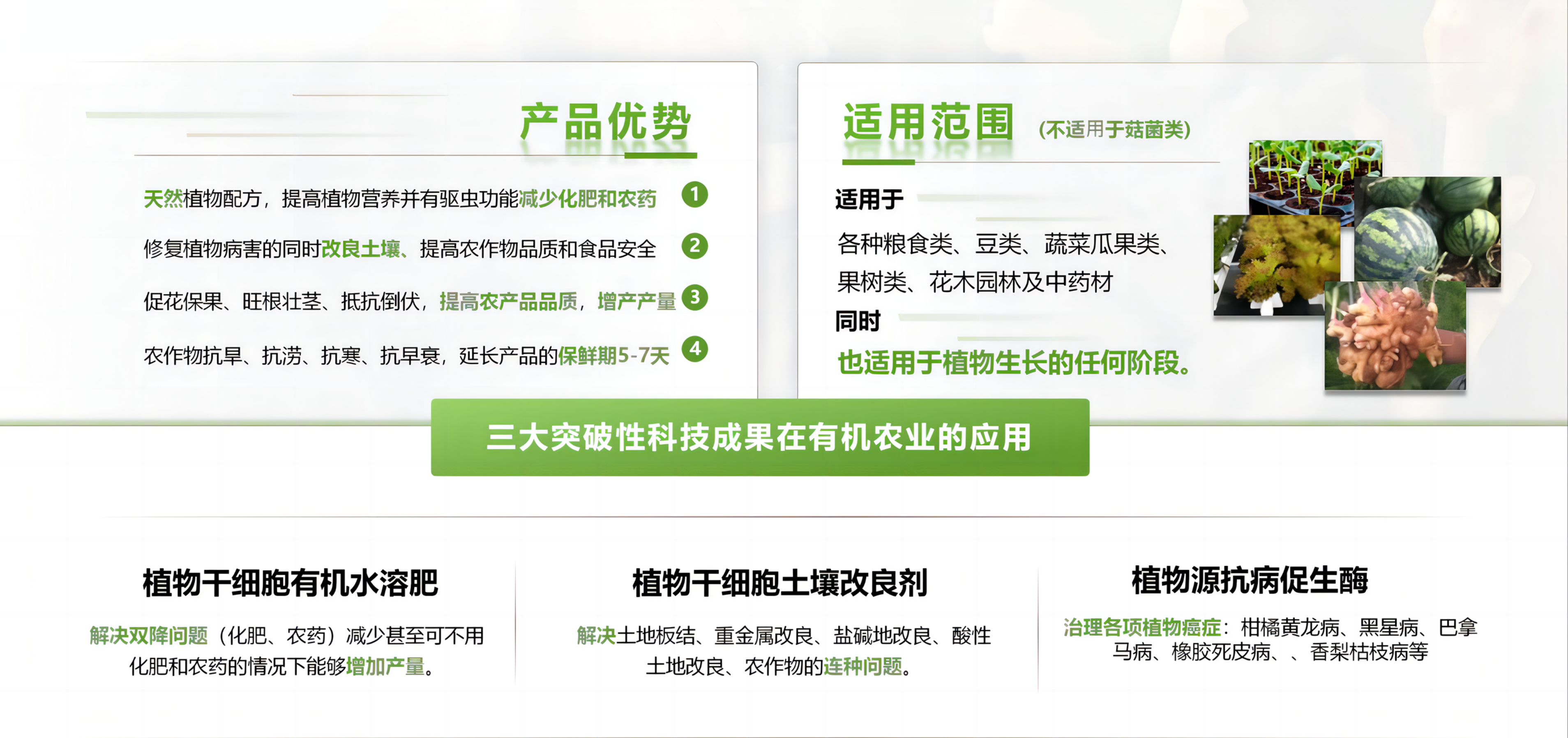 恩典万物生植物干细胞开启绿色农业发展新纪元