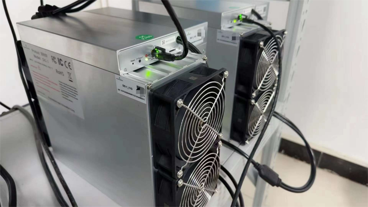 从新手到专家elphapexdg1挖掘狗狗币全面入门指南