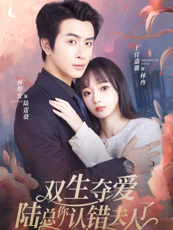 双生夺爱陆总你认错夫人了