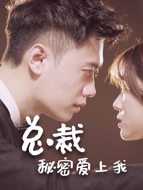 总裁秘密爱上我