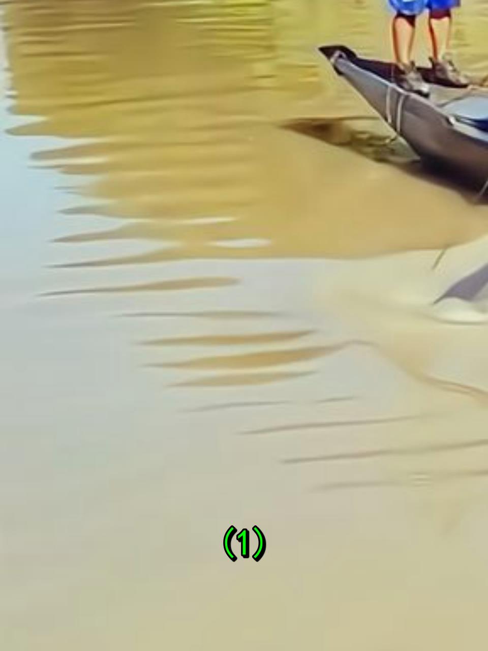 惊险一刻!越南钓手拖动巨型鲶鱼上船,挑战极限捕获奇迹!