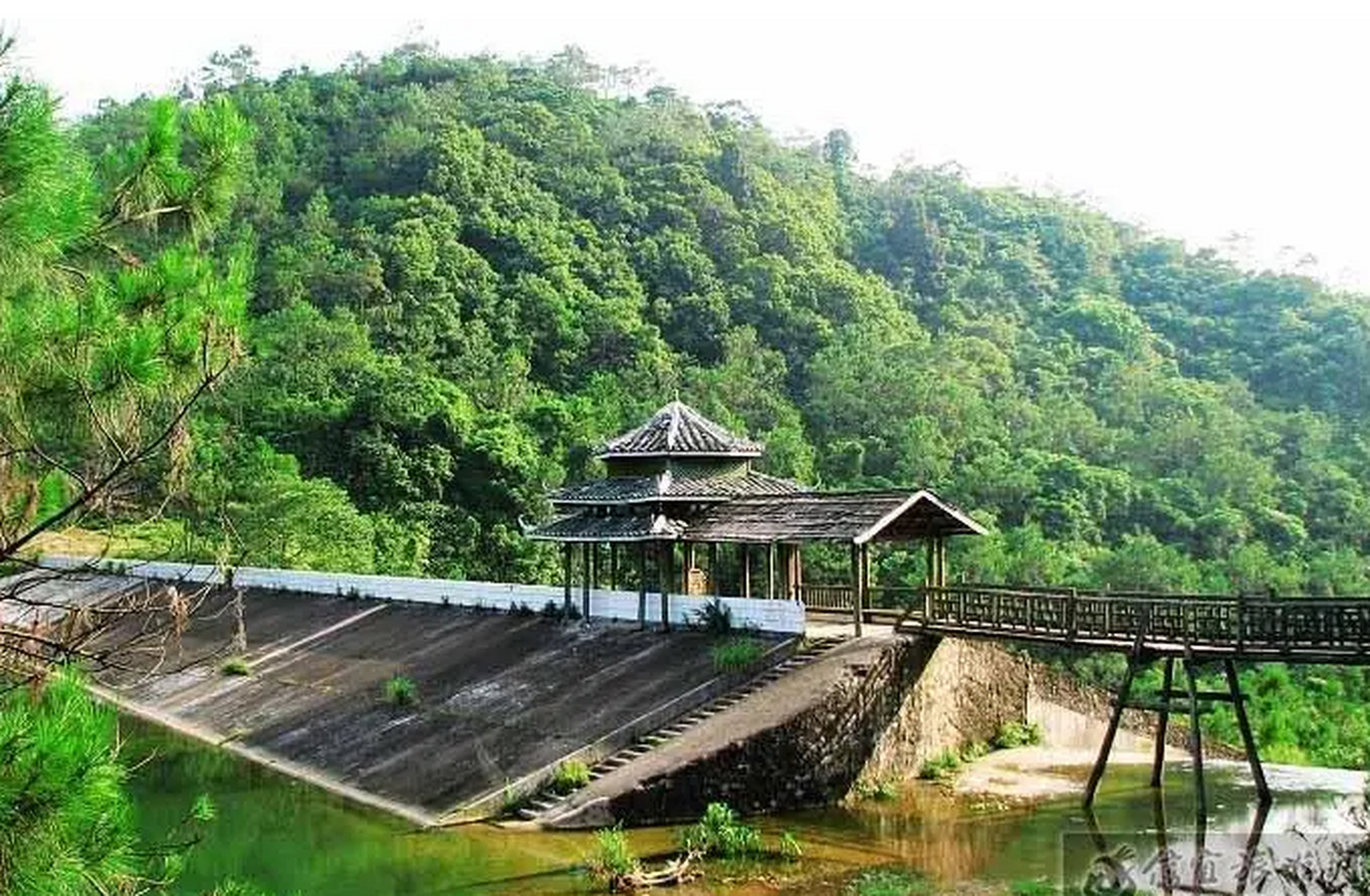 探索广东信宜市的天马山自然风景旅游区,感受大自然的鬼斧神工和瑶族