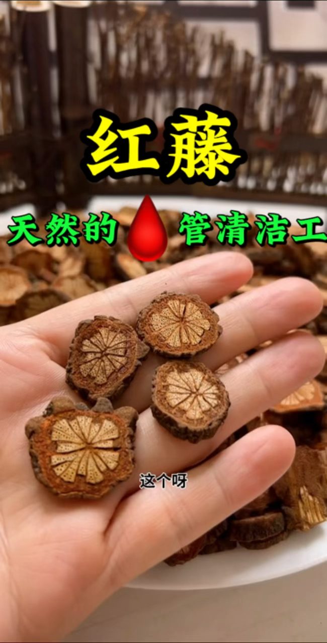 红藤又叫大血藤天然的清洁工