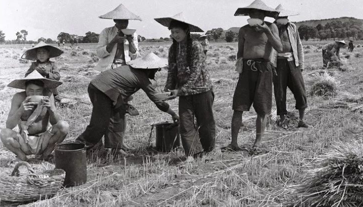 20张生产队老照片:生产队时期农民,一天到晚都在干些什么工作?