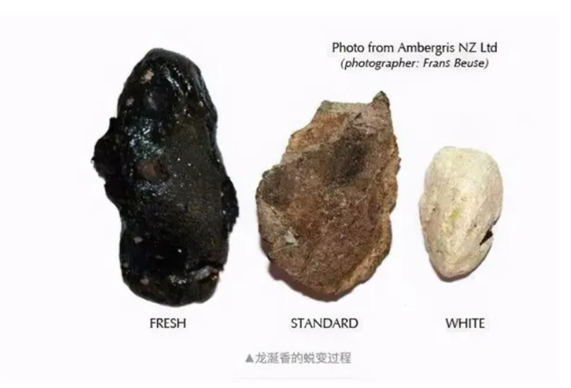 2014年男子海滩捡一块石头妻子真臭扔了它结果价值近百万