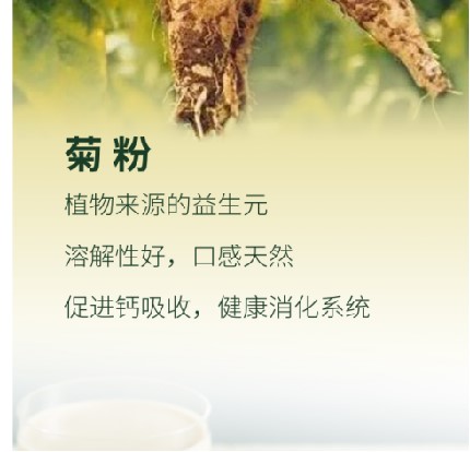 「第26届中国国际焙烤展览会」菊粉 低聚果糖(菊苣益生元)