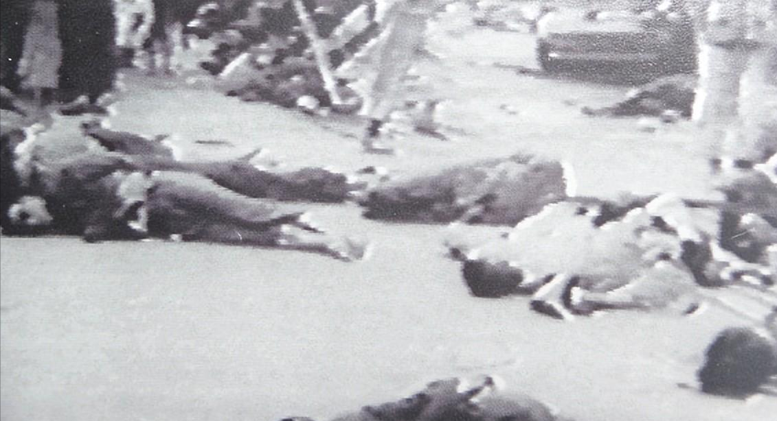 南京城内可以称之为尸横遍野,小巷子里面到处都是尸体,有一些老百姓