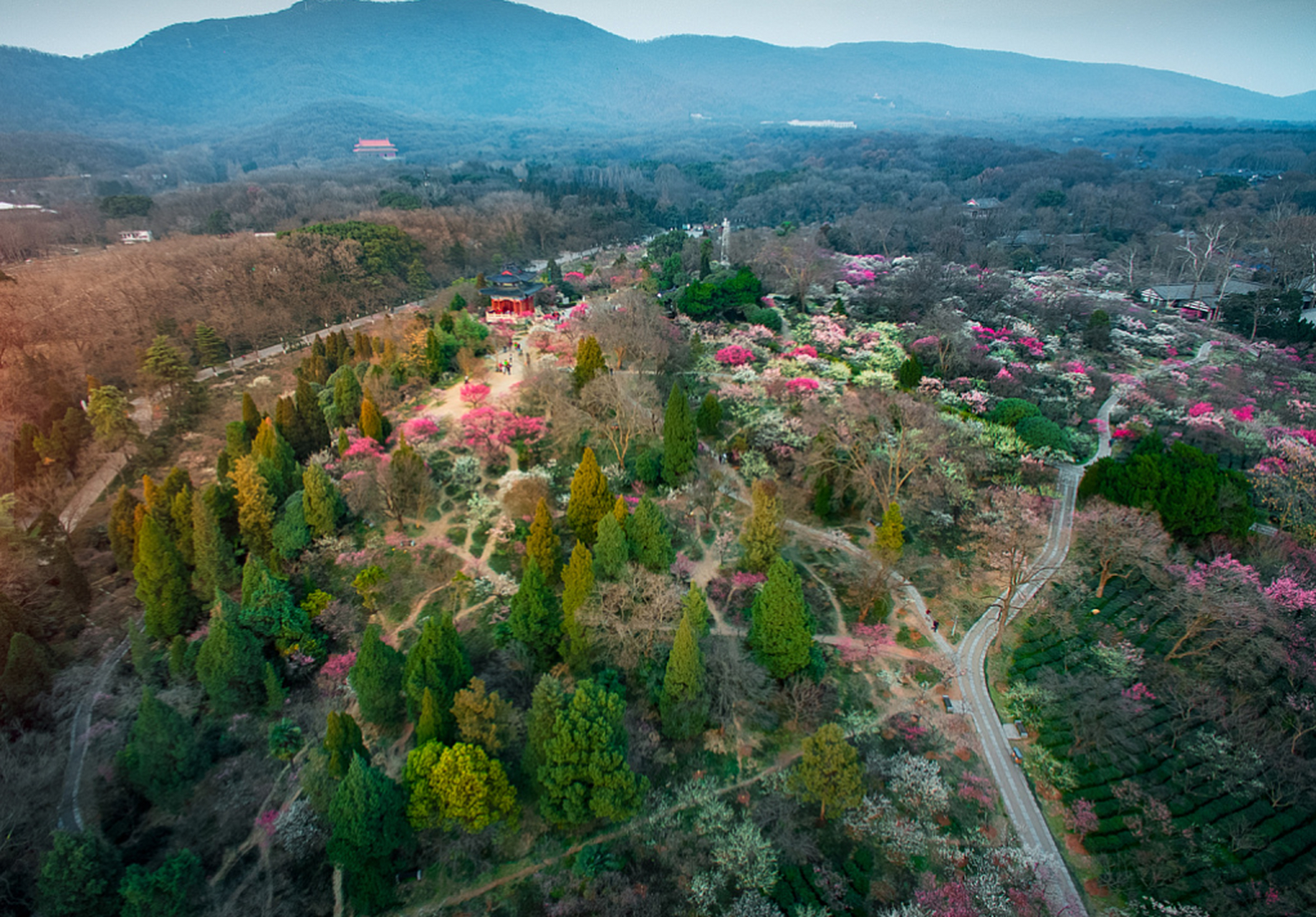 冠豸山徒步赏景98梅花山上野餐乐无边72九鹏溪烧烤飘香四溢78