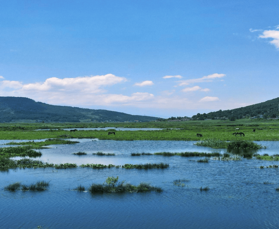 「美丽四川」走进大凉山——越西县