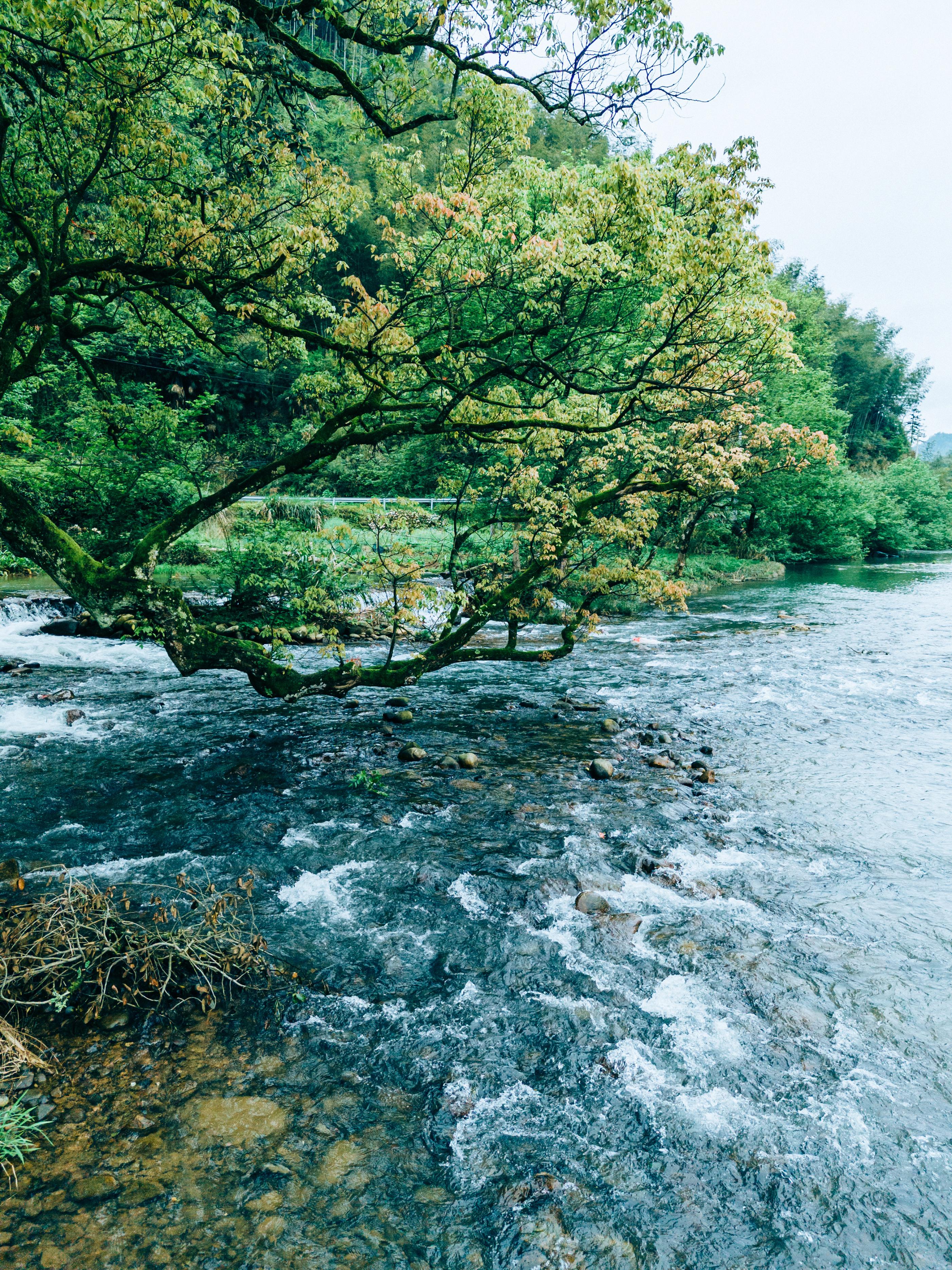 饶乡畲韵三月三五府山3日2晚畲乡探秘之旅