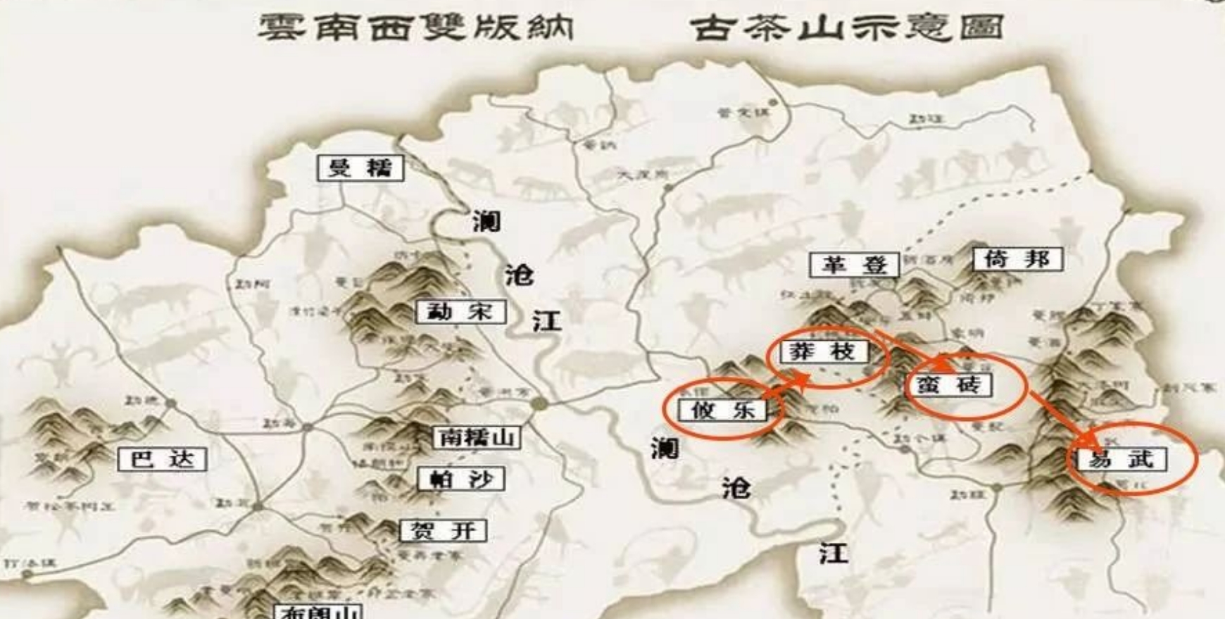 易武茶特点与介绍