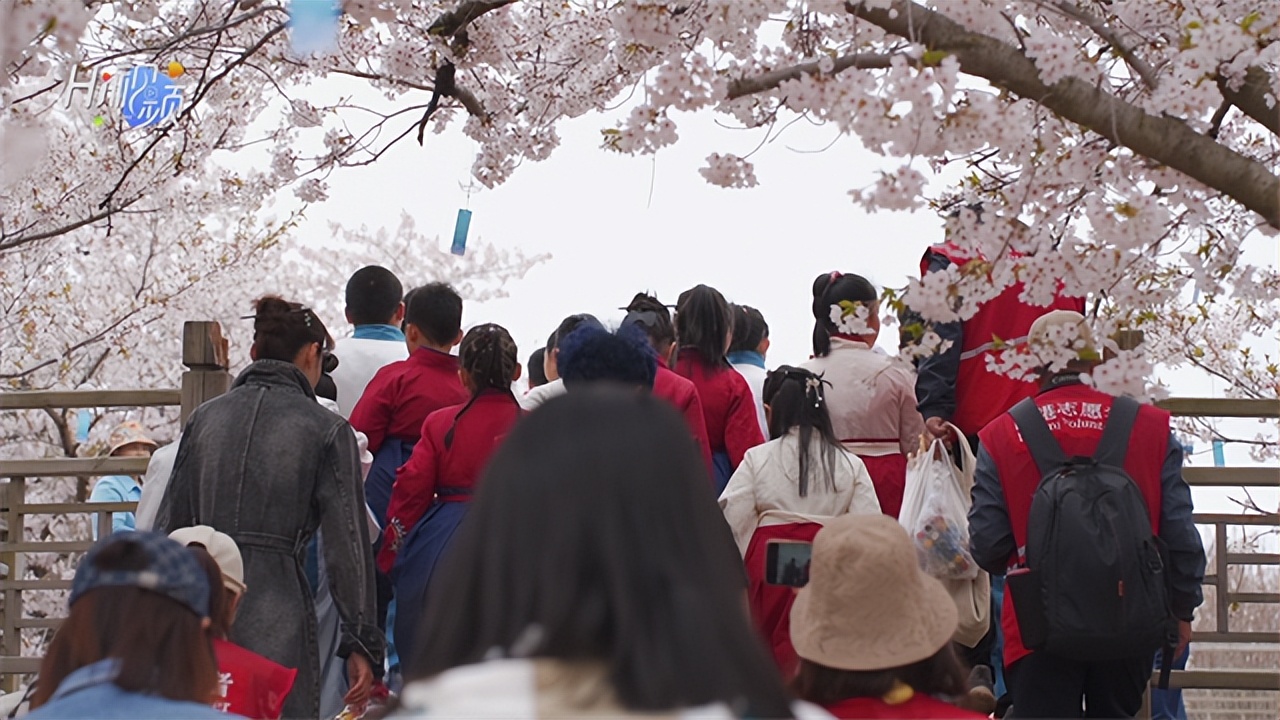 威海临港区汪疃镇这个植物园太美了!