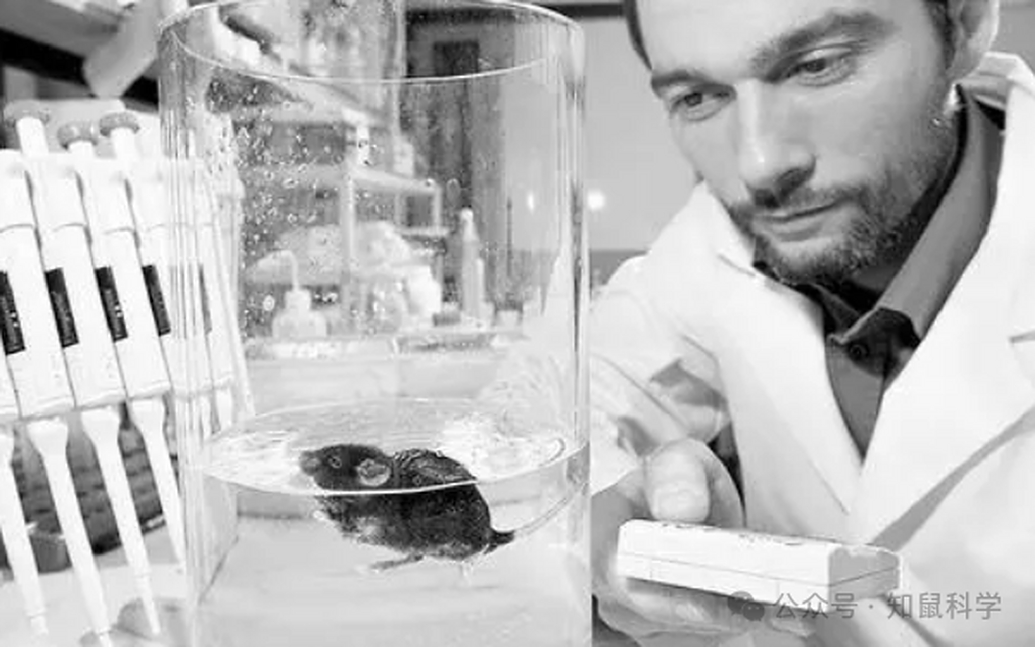 揭秘强迫游泳实验,深度洞察动物情绪背后的秘密!