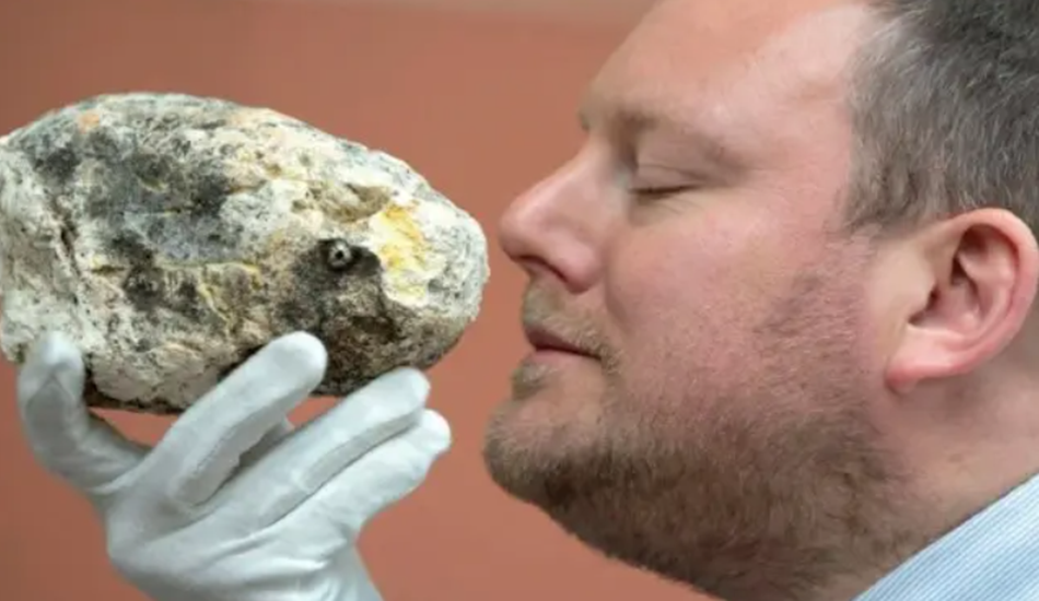 2014年男子海滩捡一块石头妻子真臭扔了它结果价值近百万