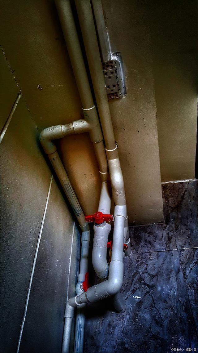 九成人都不知蟑螂天敌是啥1个土法子蟑螂便消失不见了