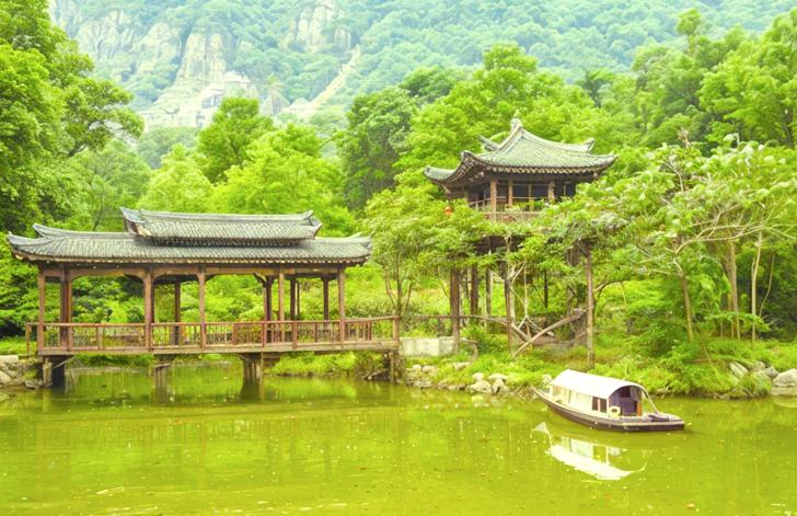 桃花源国家森林公园 - 地下石林奇观