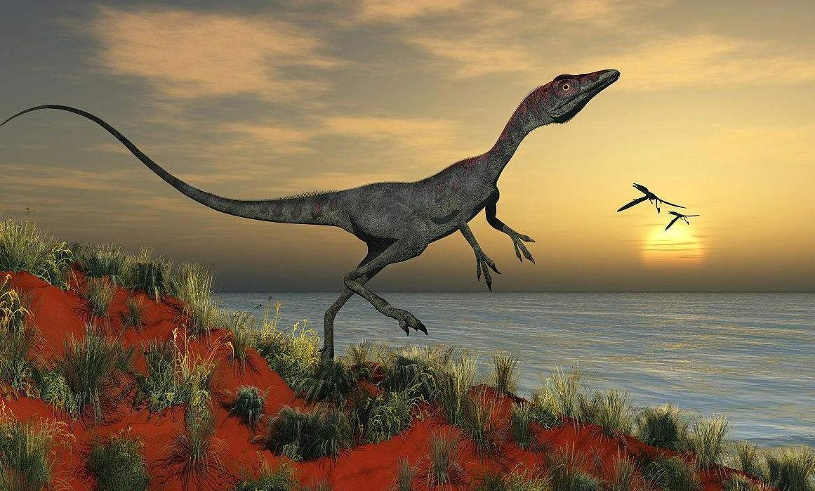 世界上最小的恐龙排名图片