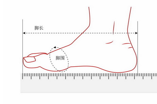 脚后跟尺寸cm是脚长么测量脚长的正确方法用脚计算身高脚长鞋尺码测量