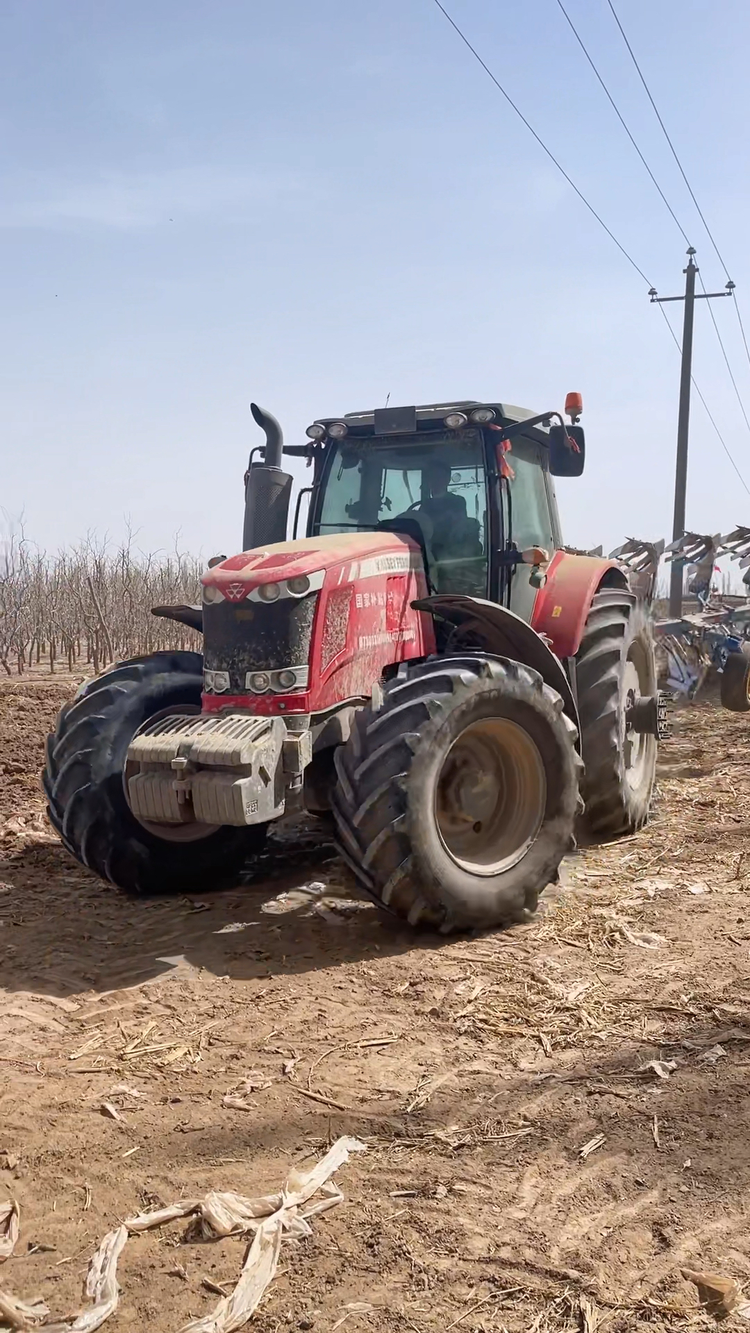 麦赛福格森2204拖拉机
