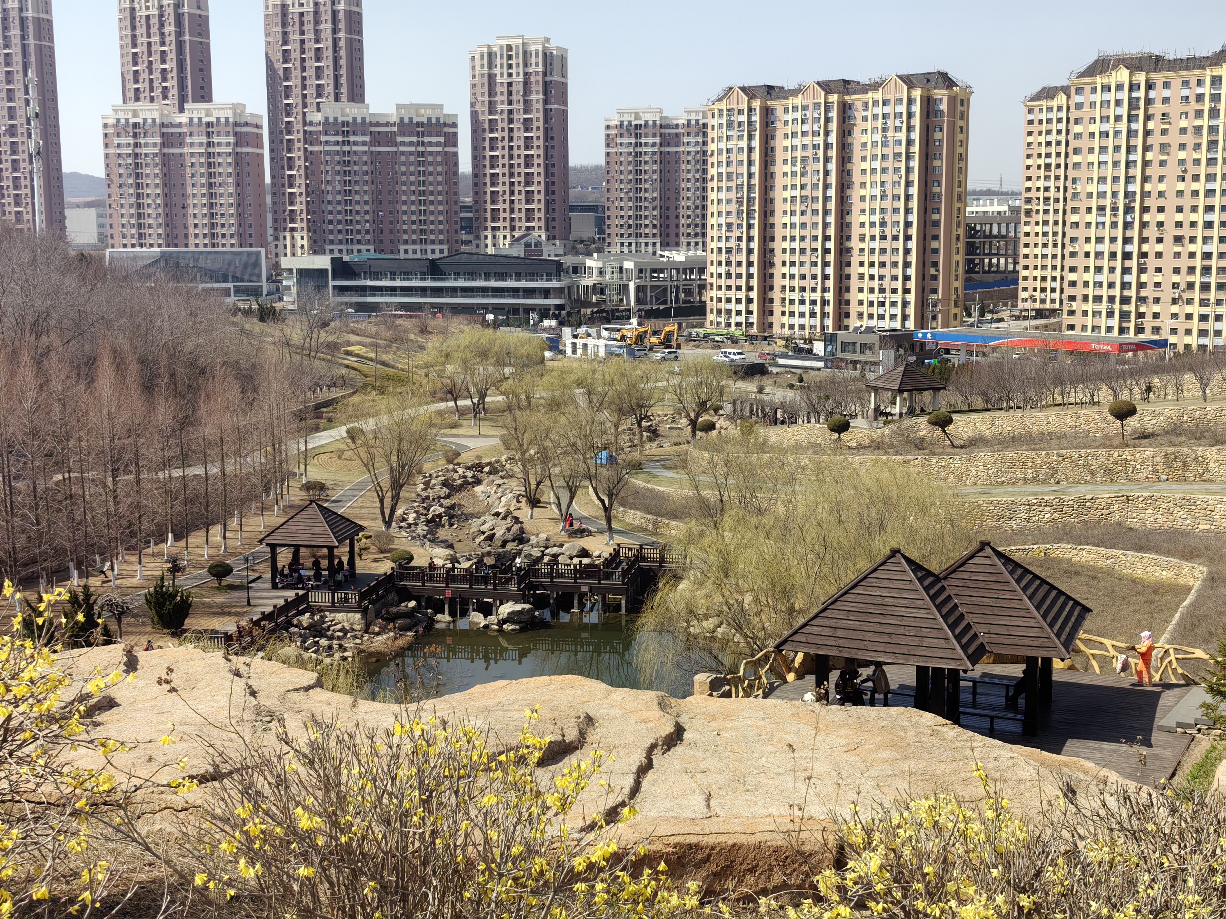 大连开发区植物园图片