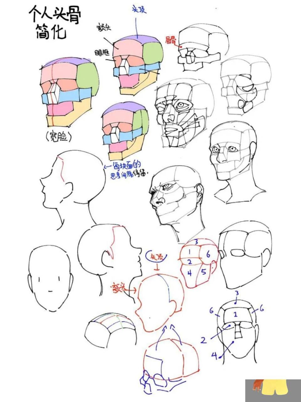 动漫人物脸部结构图图片