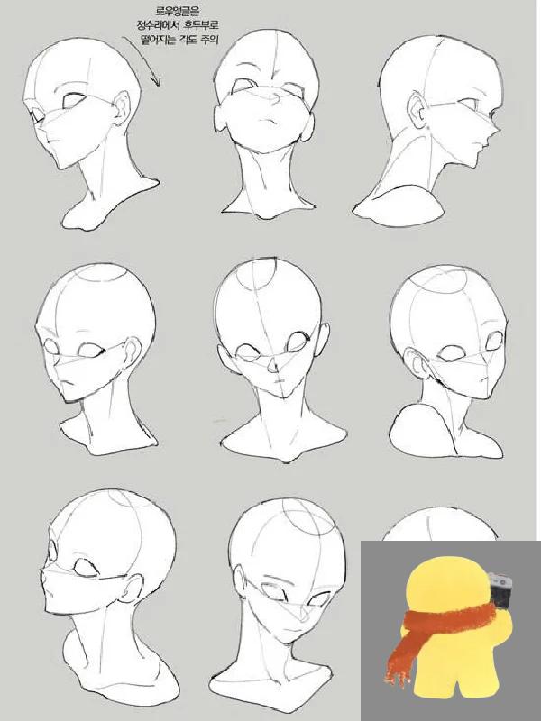 和大家说说动漫头部怎么画 头部的结构和