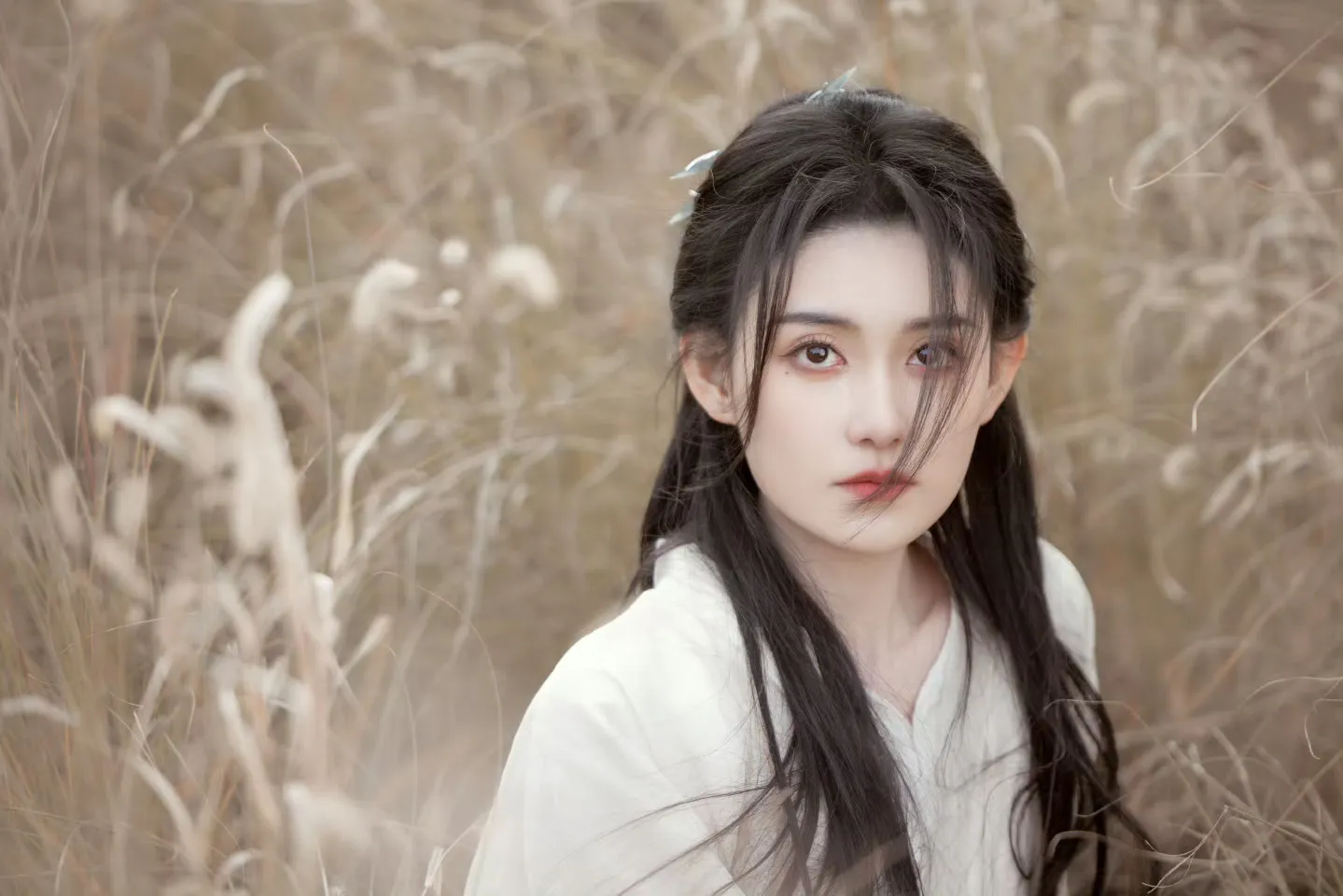 美女系列壁纸第373期-蒋依依