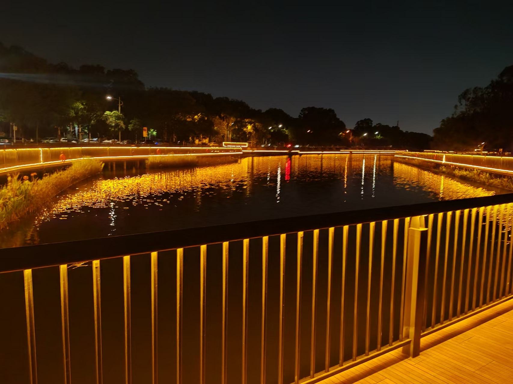 塘厦夜景好去处图片