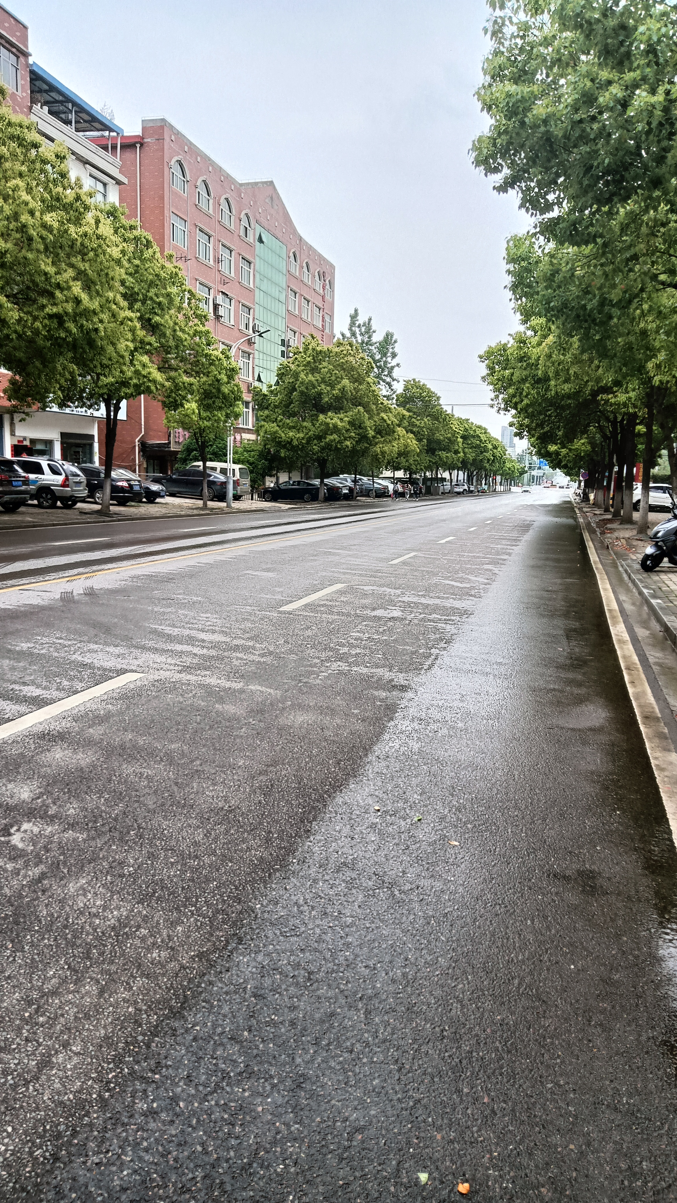 雨后街道图片