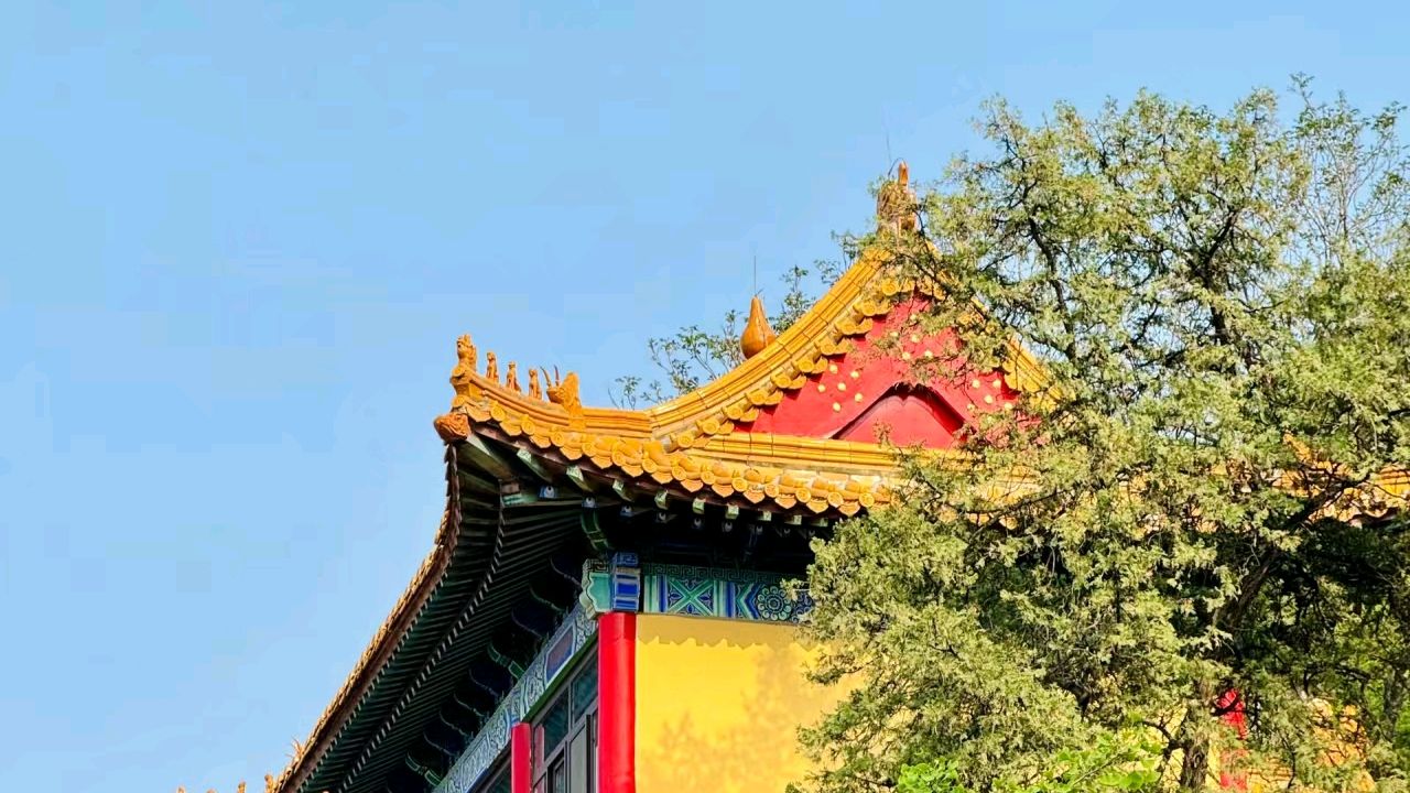 济南千佛山:千年古刹与万载灵光的魅力之地