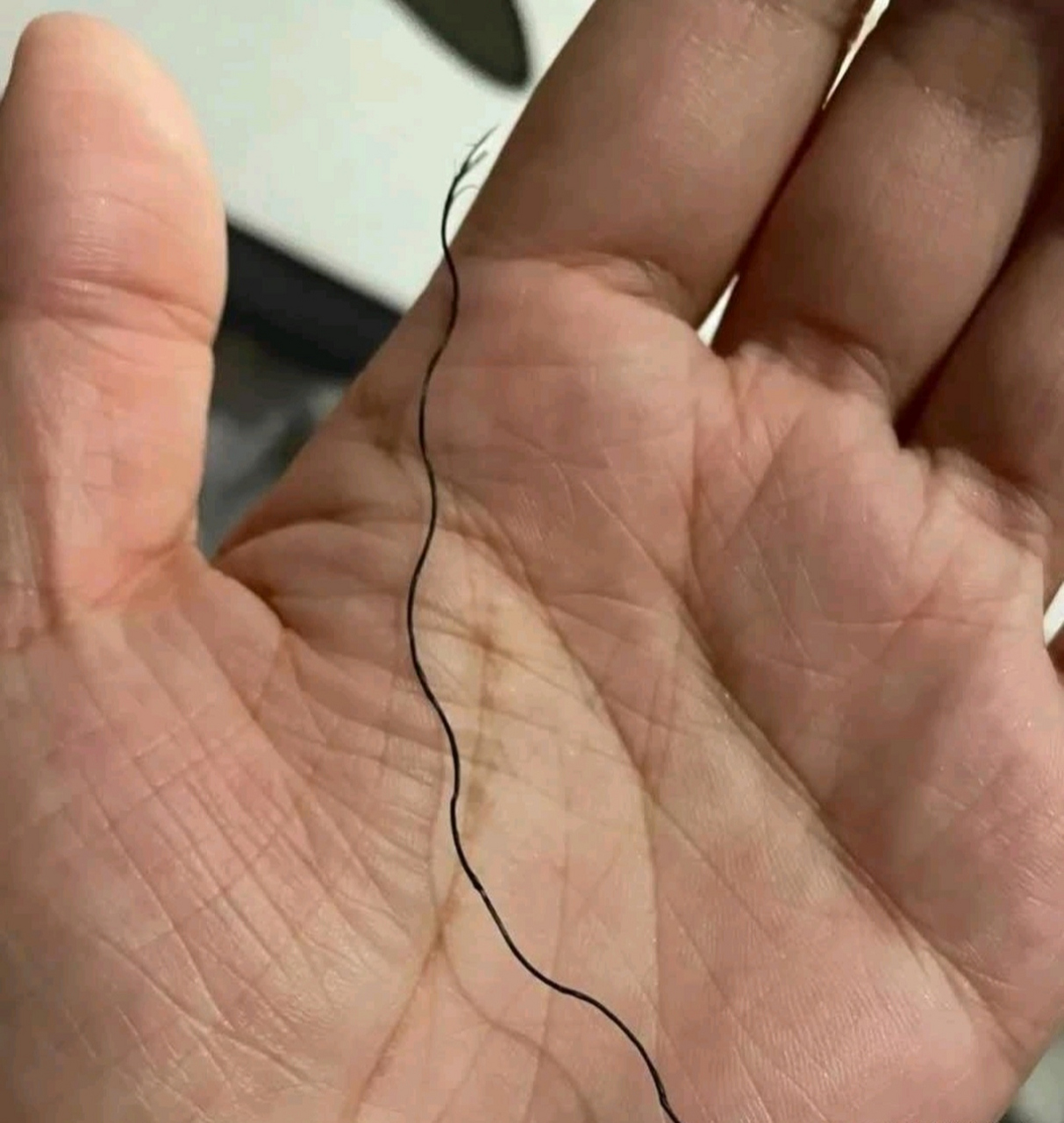 今天闲着没事玩女朋友的头发,突然发现一根又黑又粗的东西,这是什么
