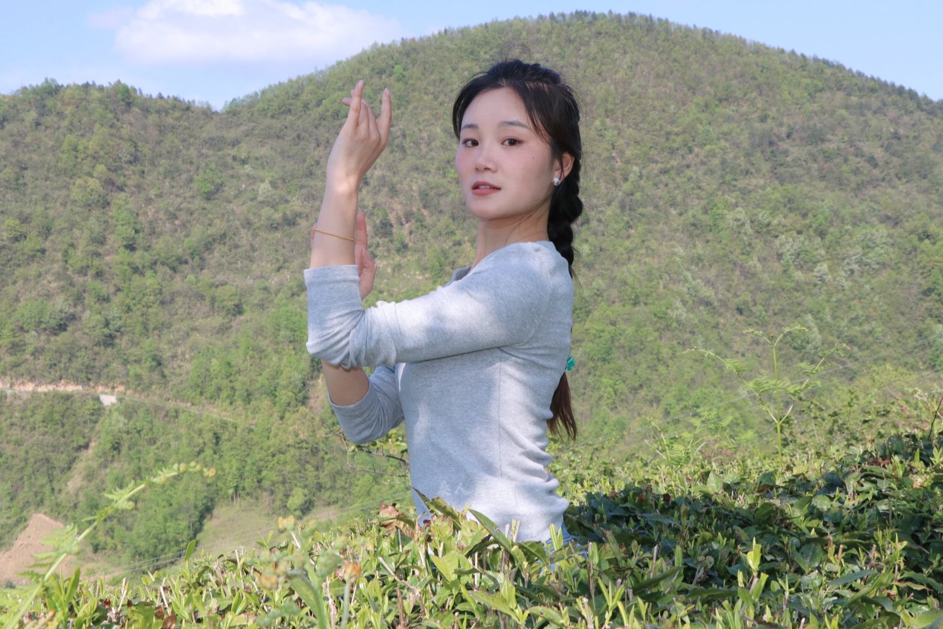 城市大玩家# 镇巴绿茶香满园,翠色欲滴露华鲜