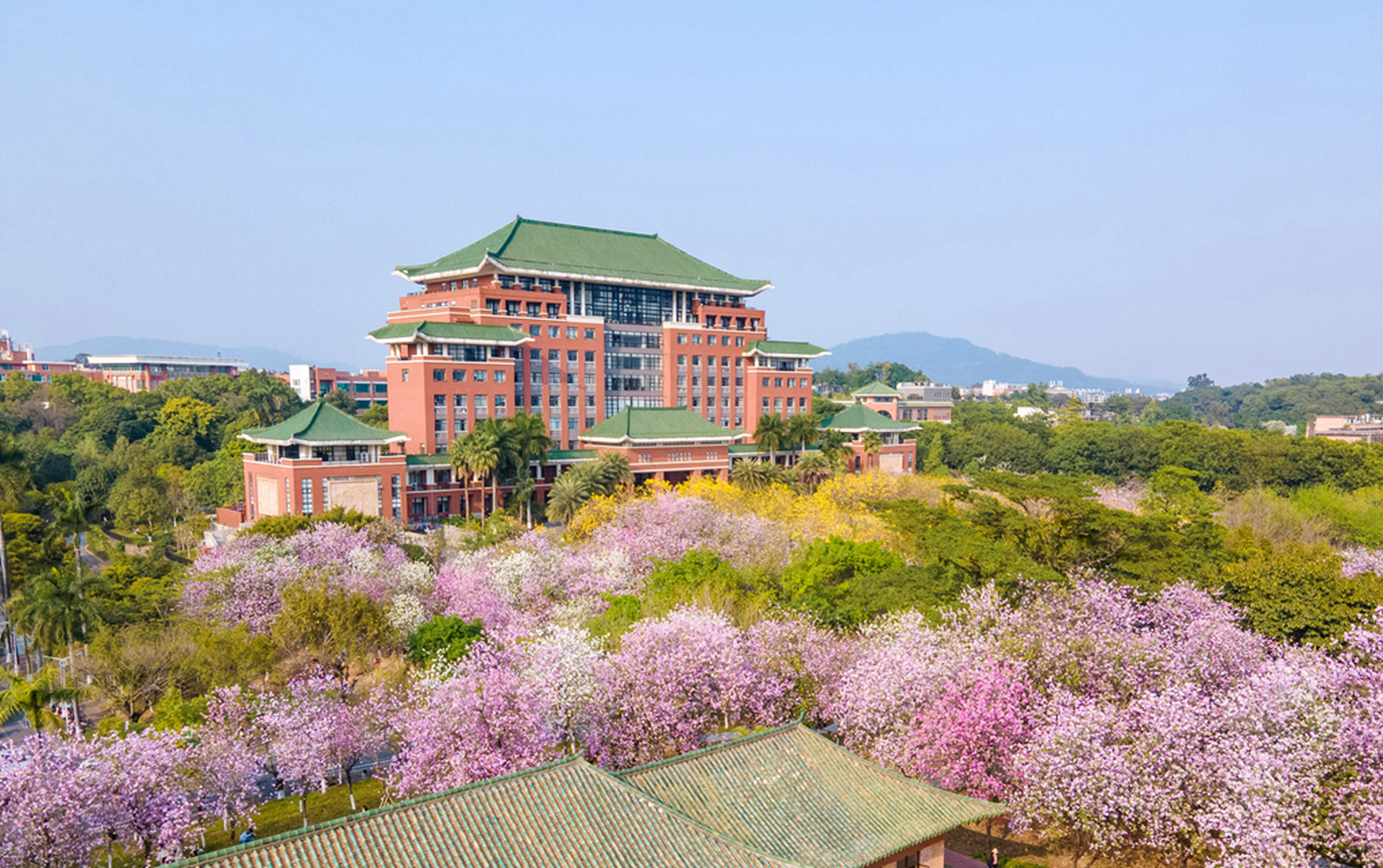 华南农业大学广州学院图片