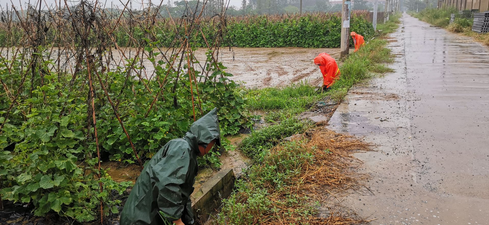 今年夏天热不热?谷雨节气早知道,看看老祖宗的俗语怎么说!