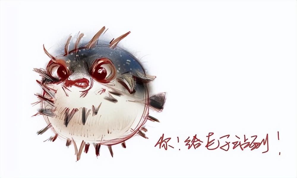 回顾河豚以毒为食毒性超氰化物千倍民间为何还要吃河豚呢