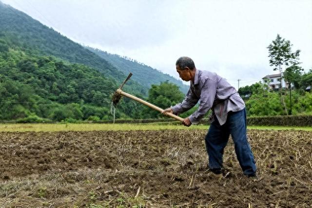 在农村"隐藏"4类闲人,成天喝酒打牌不干活,他们是什么身份?