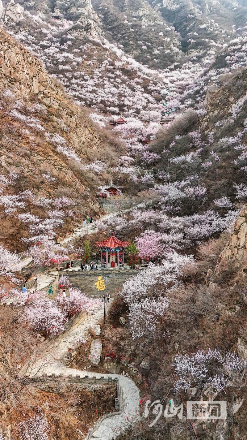 张家口鸡鸣山简介图片