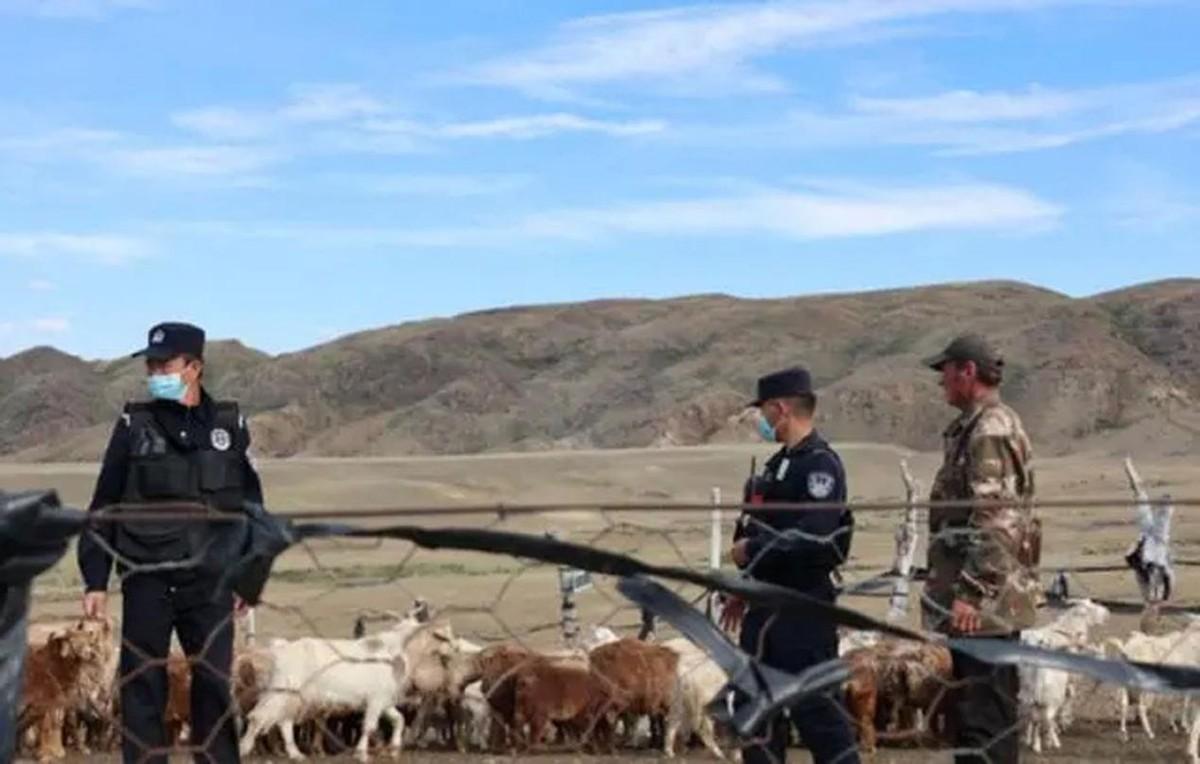 这位报警的女人姓韩,是内蒙古阿尔山市伊尔施镇人,和丈夫主要以养羊为